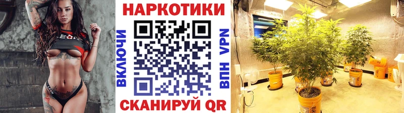 Купить закладку ГАШ Псилоцибиновые грибы Амфетамин МЕФ Alpha-PVP Каннабис Нелидово
