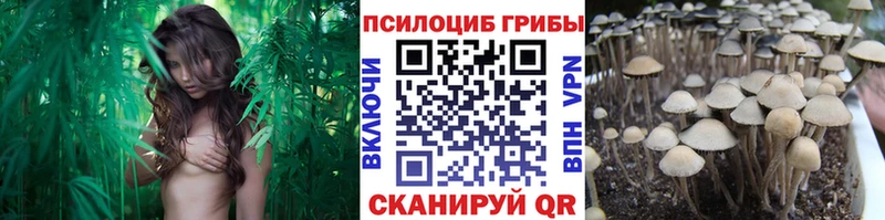 Псилоцибиновые грибы GOLDEN TEACHER Нелидово